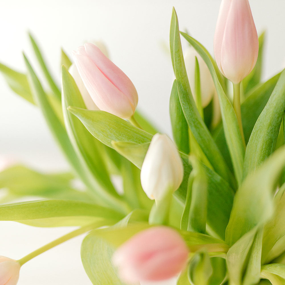 Easter Tulips Arrangement LIMITED ADDITION