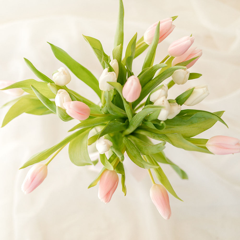 Easter Tulips Arrangement LIMITED ADDITION